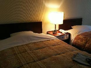 Hakodate Park Hotel Pokój zdjęcie
